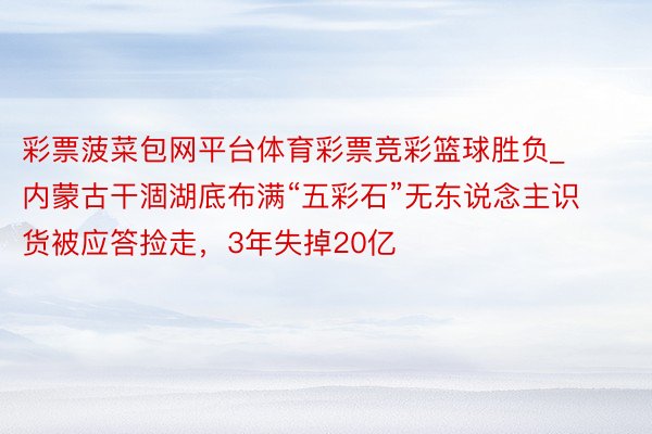 彩票菠菜包网平台体育彩票竞彩篮球胜负_内蒙古干涸湖底布满“五彩石”无东说念主识货被应答捡走，3年失掉20亿