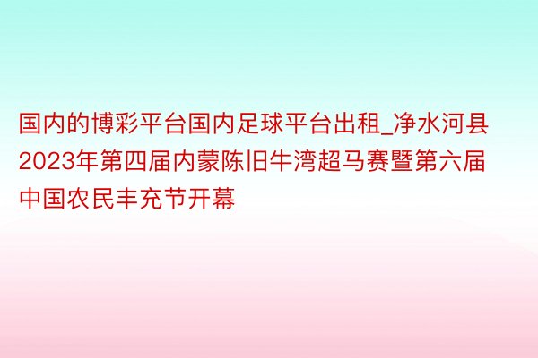国内的博彩平台国内足球平台出租_净水河县2023年第四届内蒙陈旧牛湾超马赛暨第六届中国农民丰充节开幕